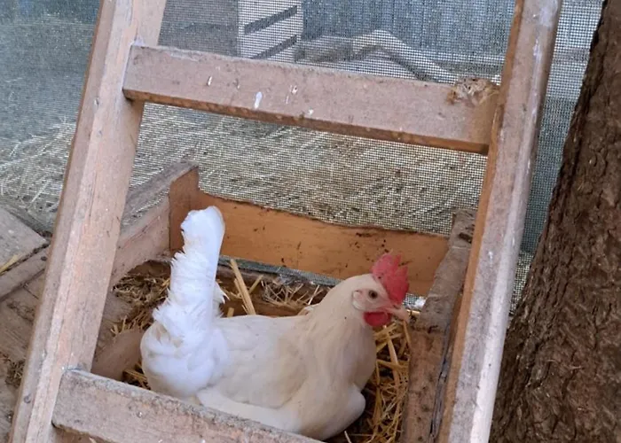 Abendrot * Briedeler Heck